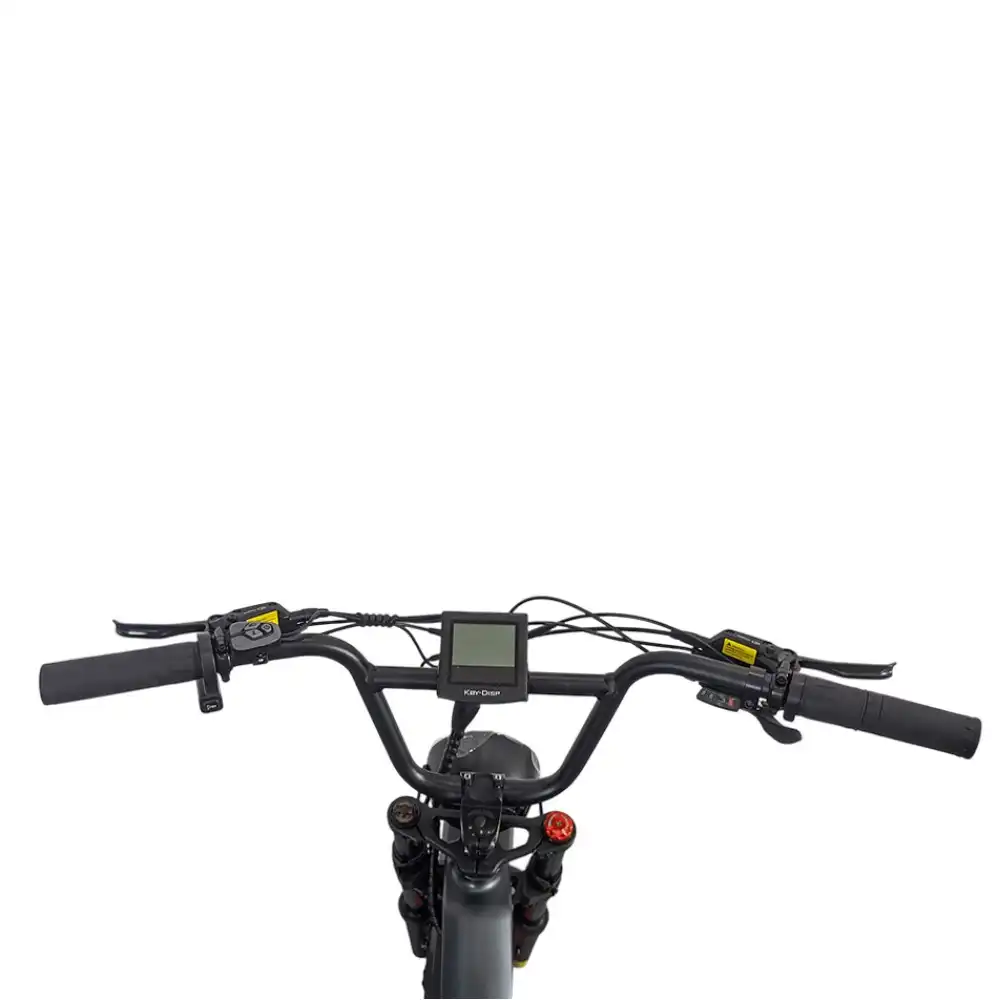 Электровелосипед SmartBalance Hunter Чёрный11374